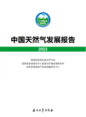 中國(guó)天然氣發(fā)展報(bào)告(2022)