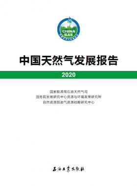 2020中國(guó)天然氣發(fā)展報(bào)告（含2017、2018、2019、2020）